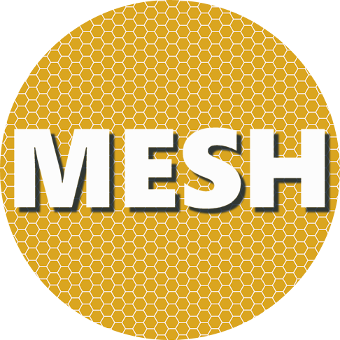 Insight Jam Mesh